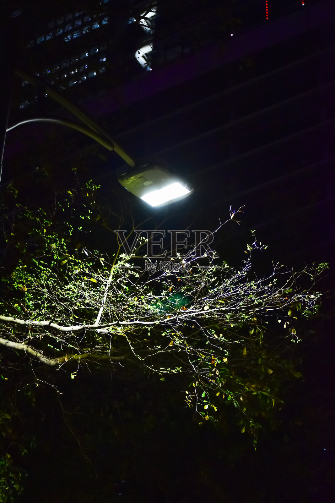 夜间街灯的特写，背景是建筑物。照片摄影图片