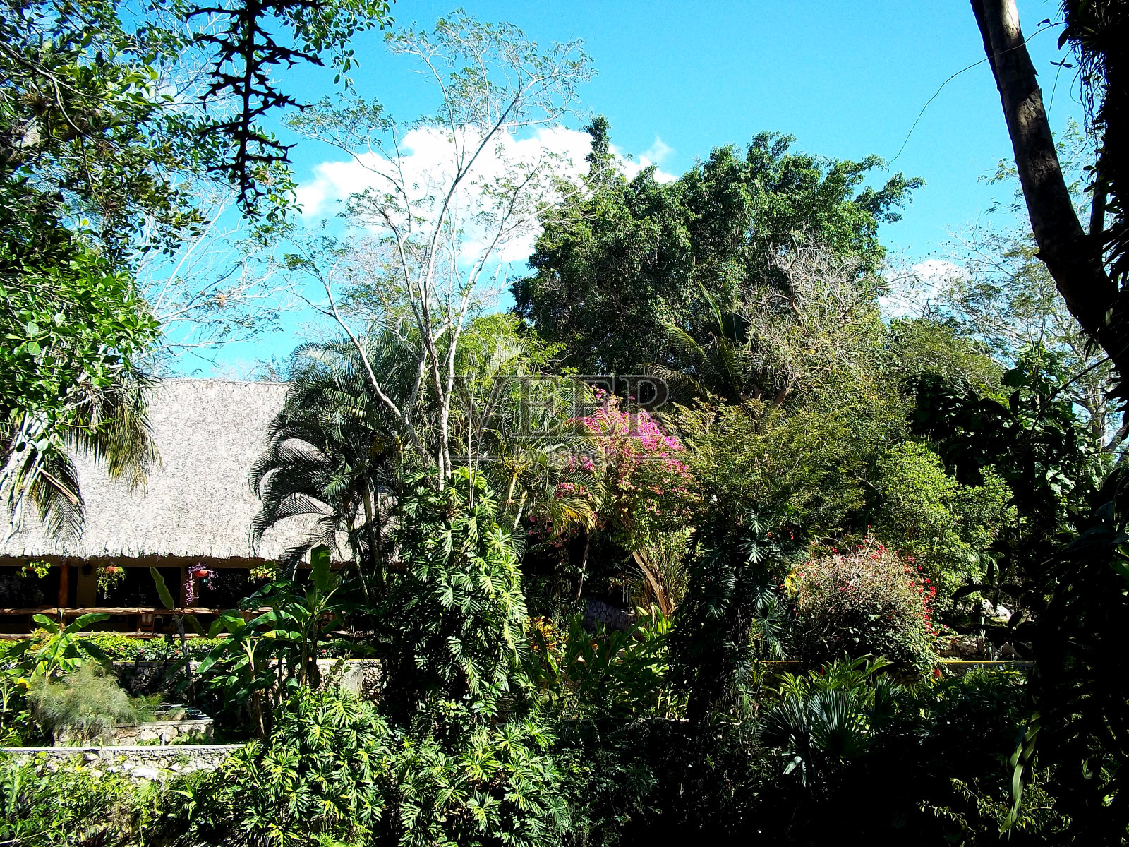 当地的餐馆，尤卡坦，墨西哥照片摄影图片