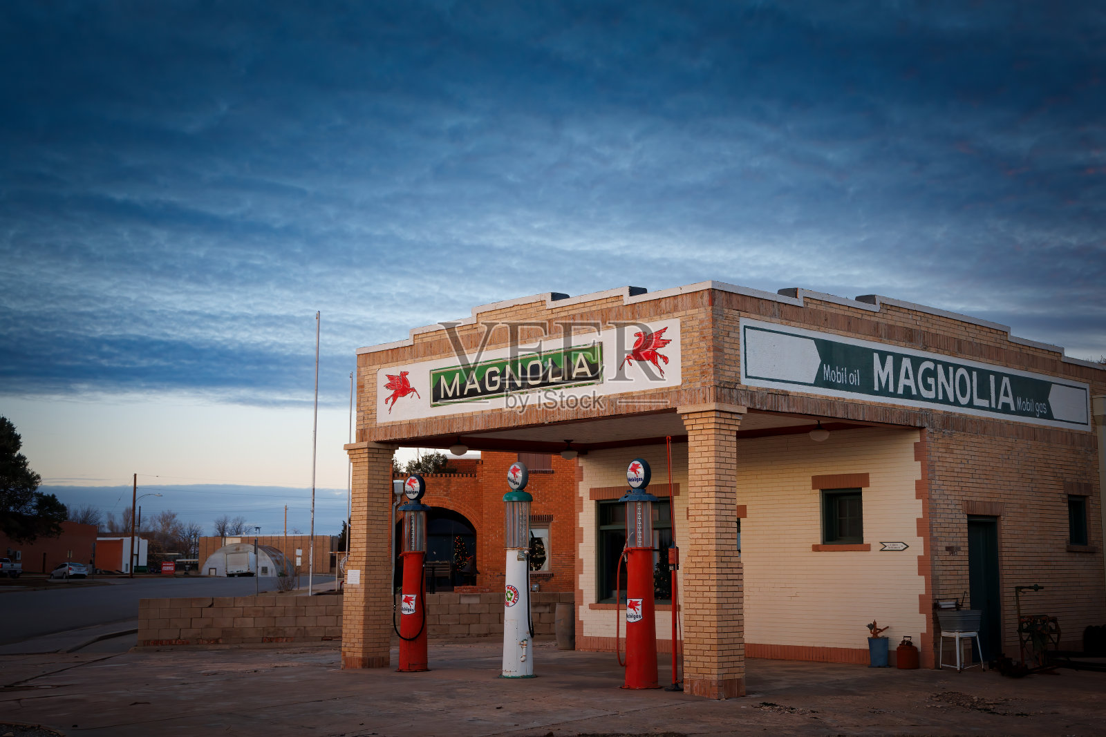 白玉兰在三叶草照片摄影图片