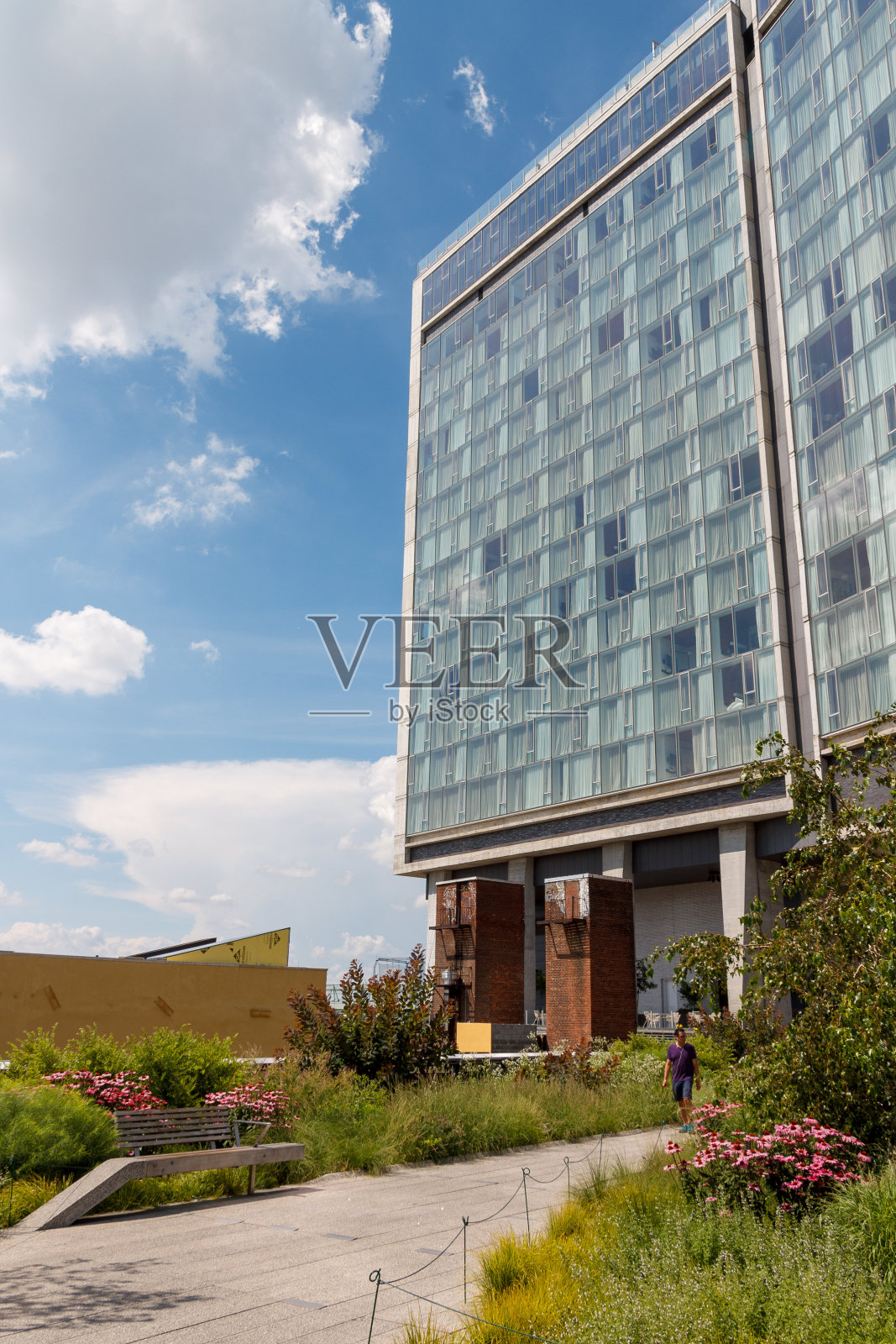 纽约高架公园照片摄影图片