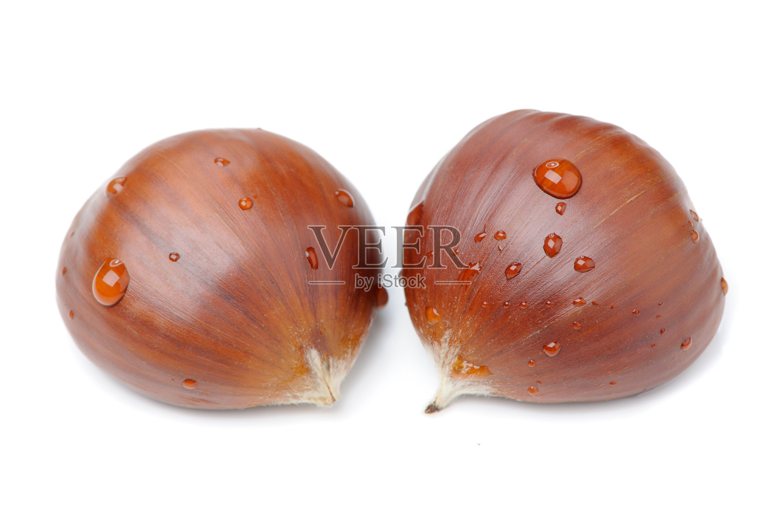 两个栗子和水滴在白色背景上的特写照片摄影图片