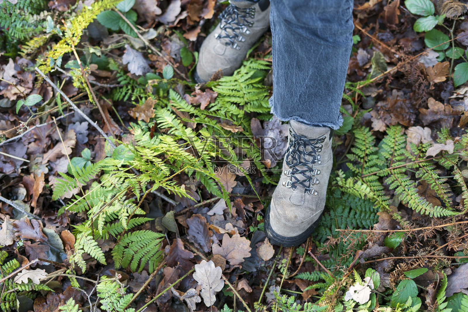在蕨类植物丛生的森林里，穿着登山靴的女性的脚。照片摄影图片