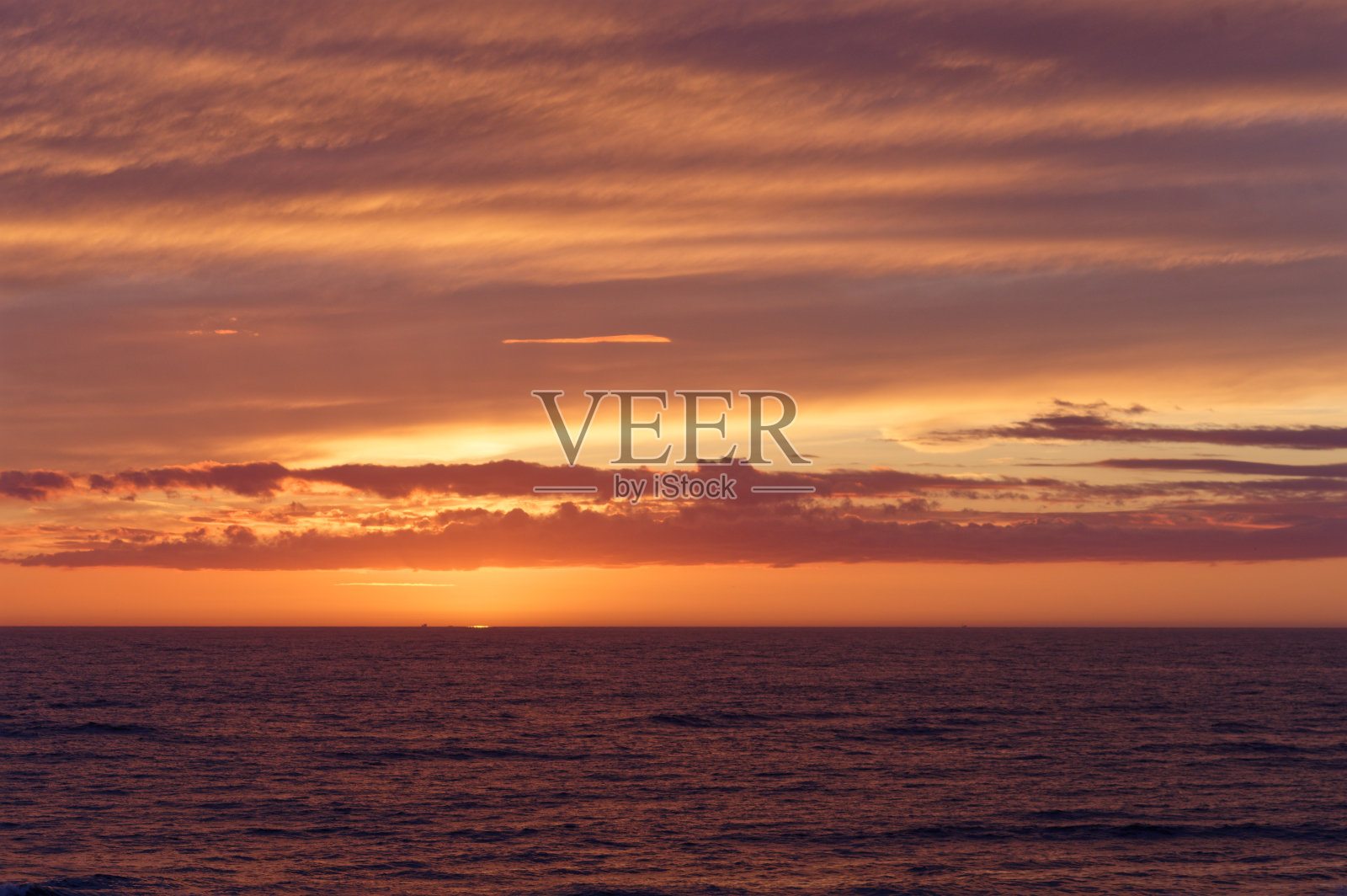 荷兰春天的风景，北荷兰。照片摄影图片