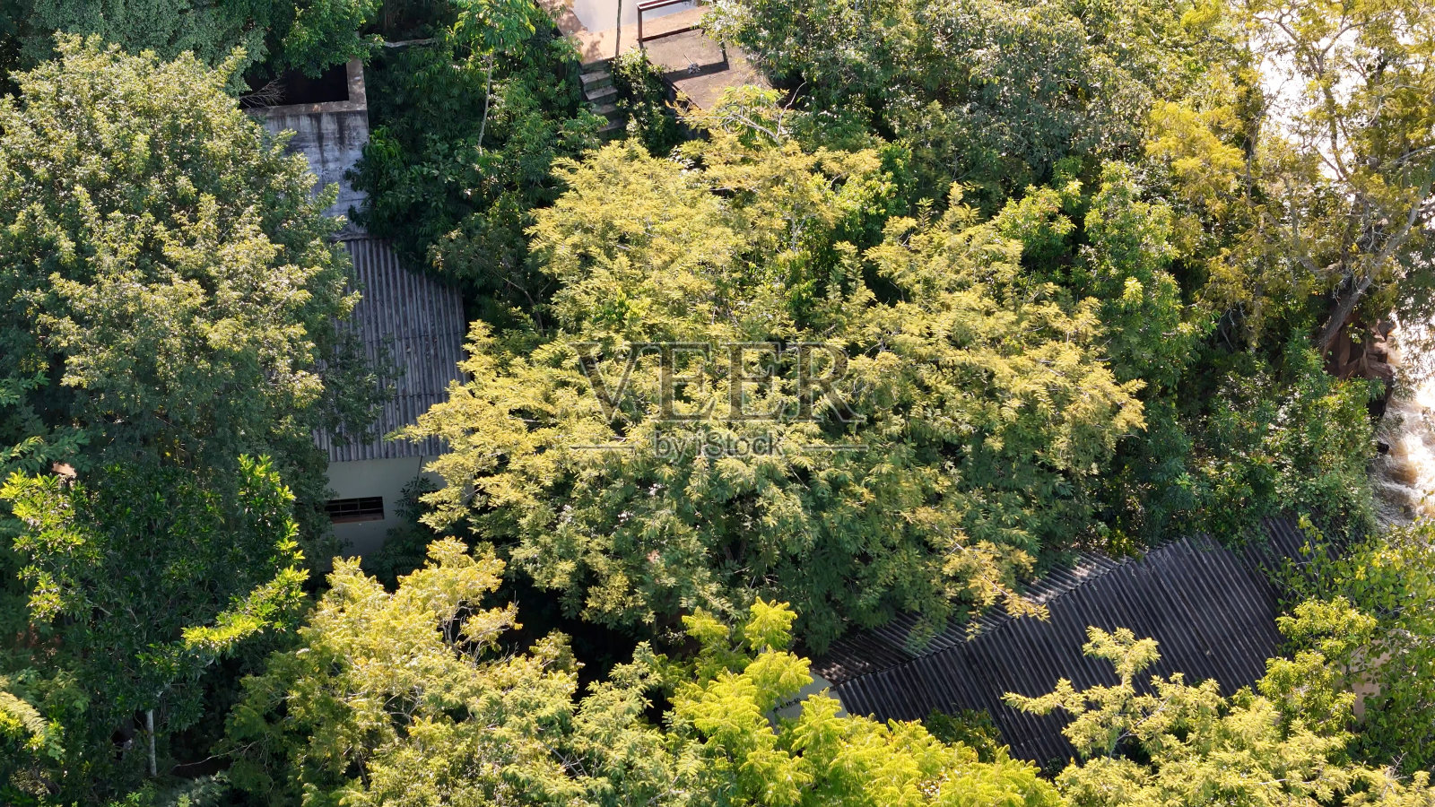 巴西南马托格罗索州卡西兰迪亚- 2024年4月18日:卡西兰迪亚的萨尔托里奥阿波雷旅游景点照片摄影图片