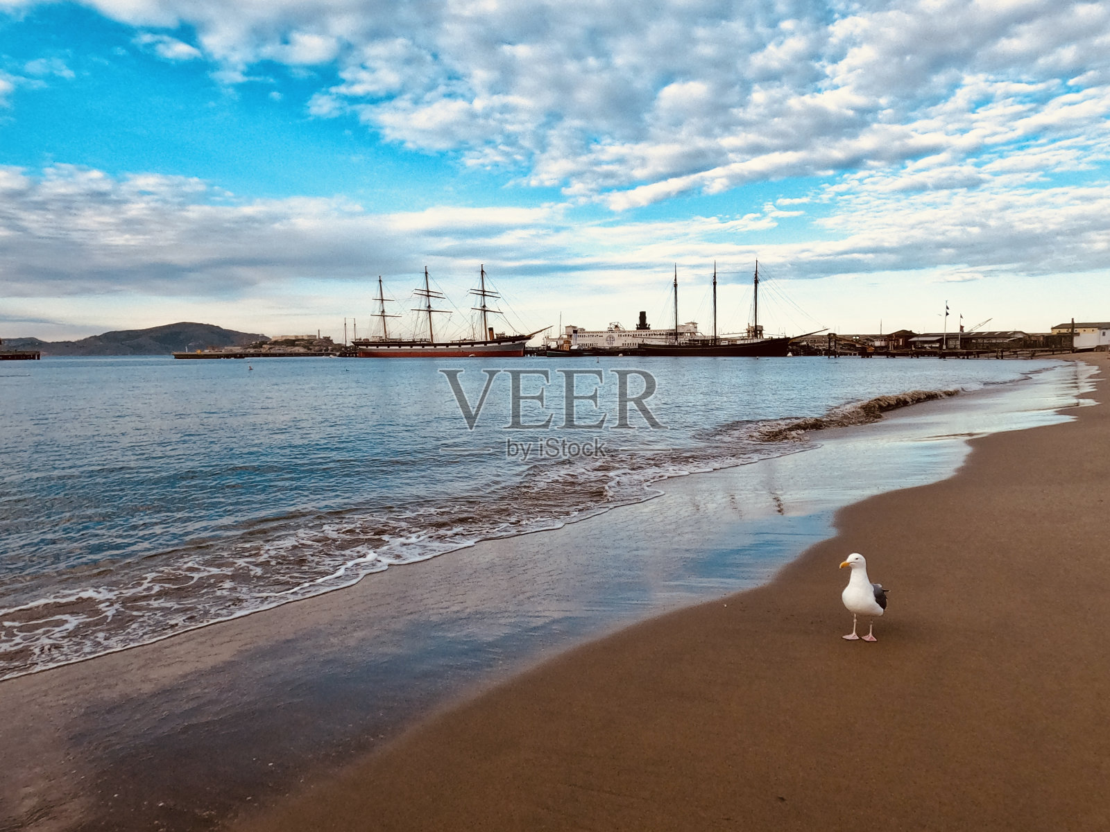 在海湾游泳照片摄影图片