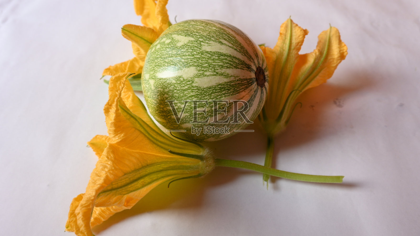 南瓜蔬菜。照片摄影图片