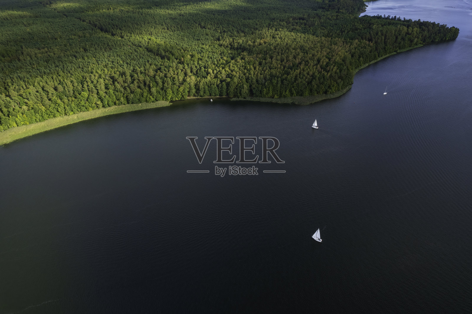 夏日美丽湖泊的全景鸟瞰图照片摄影图片