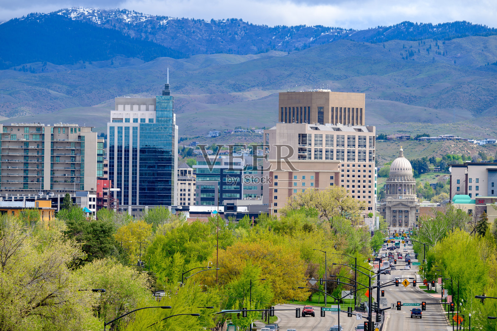 春天的树木和博伊西的天际线，山上有雪照片摄影图片