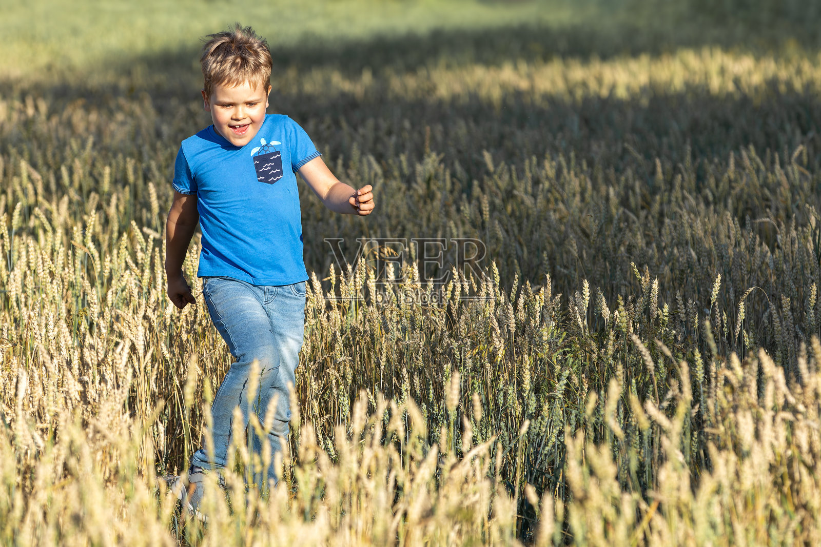 麦田里快乐的小男孩。夏天，大自然，孩子们照片摄影图片