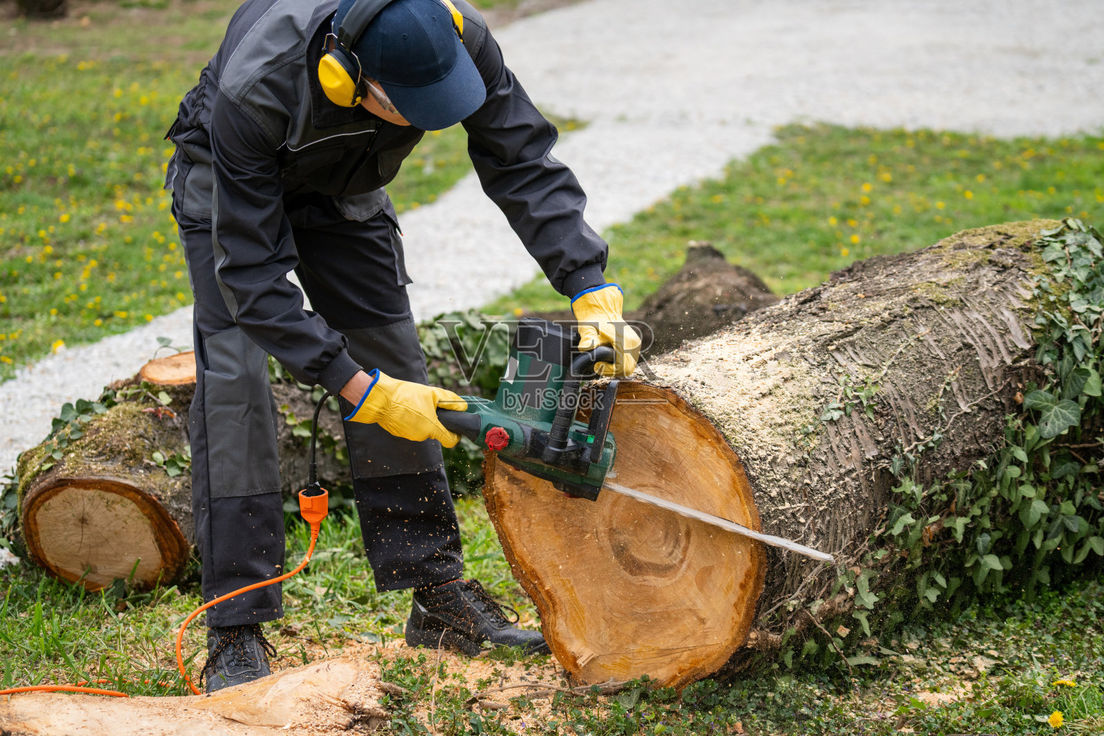 一个穿制服的人正在院子里用电锯锯一棵老树。照片摄影图片