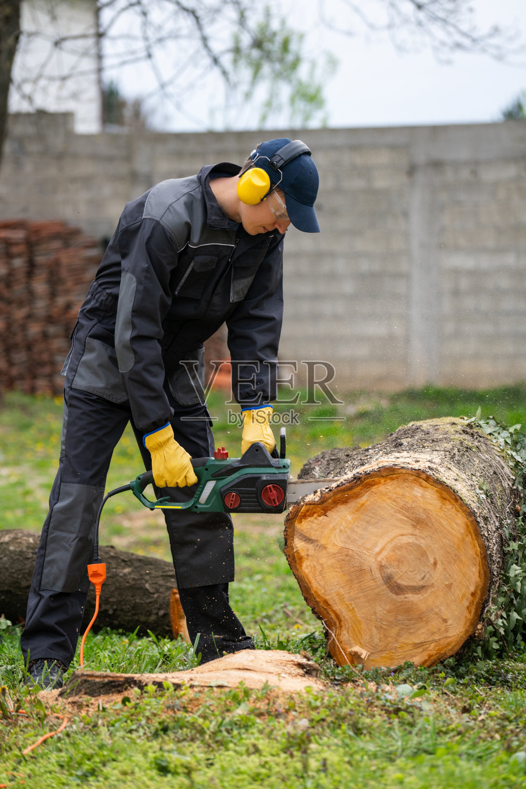 一个穿制服的人正在院子里用电锯锯一棵老树。照片摄影图片