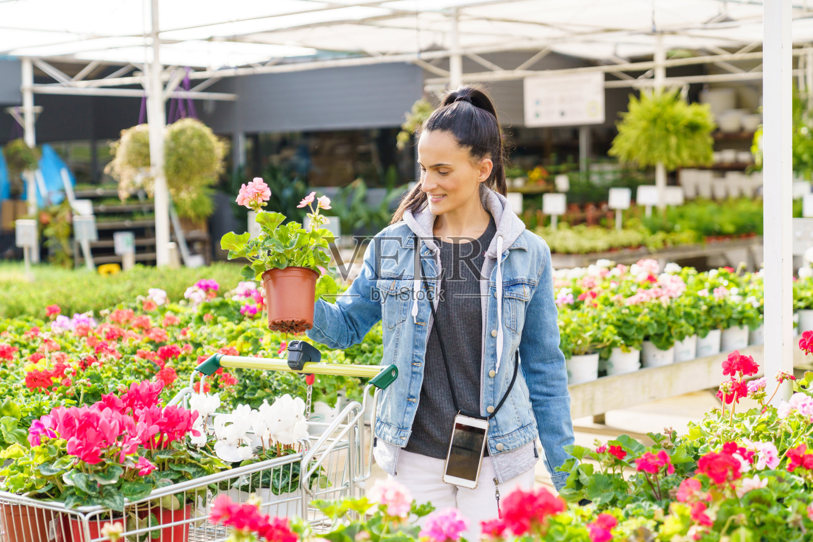 西班牙妇女把盆栽放进推车照片摄影图片