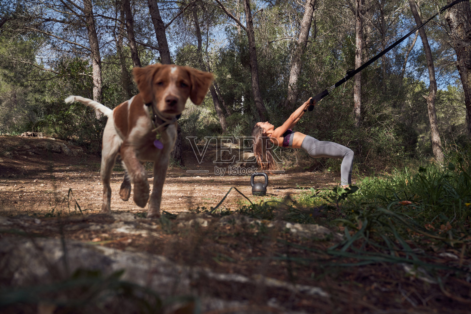 妇女训练和遛狗照片摄影图片