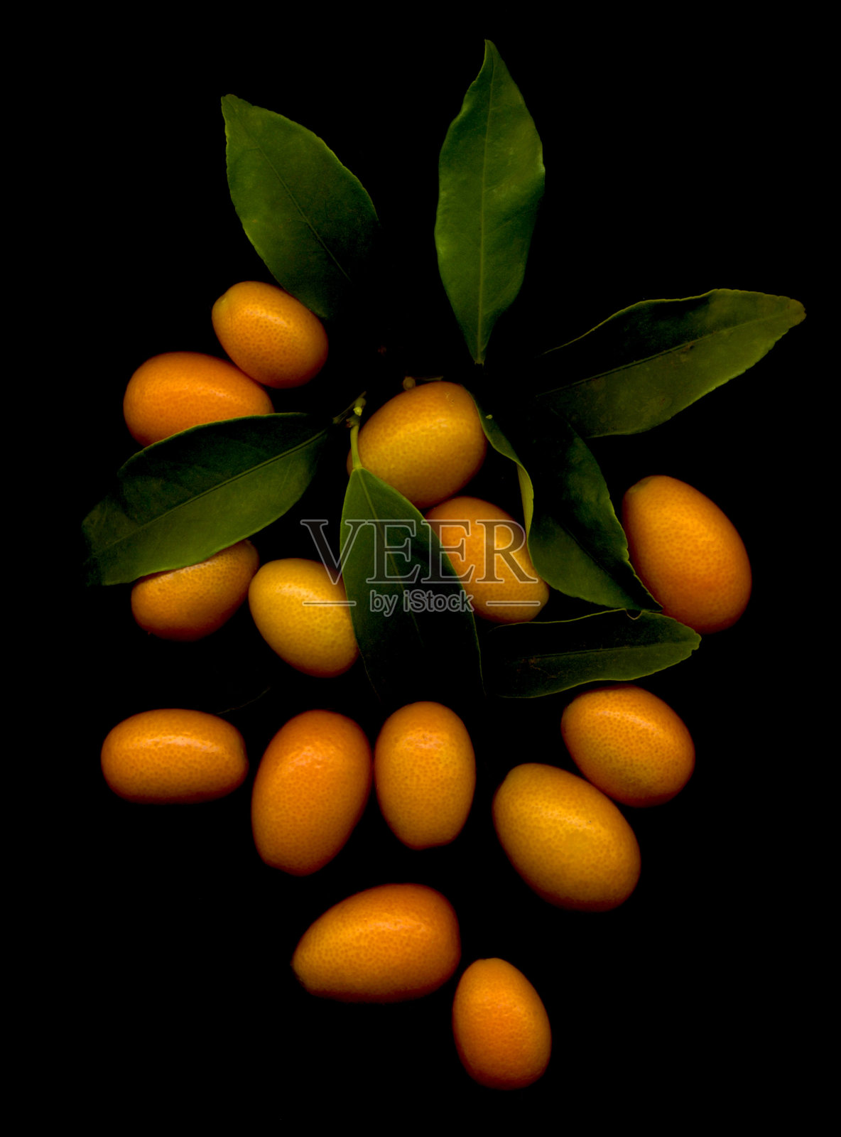 金橘照片摄影图片