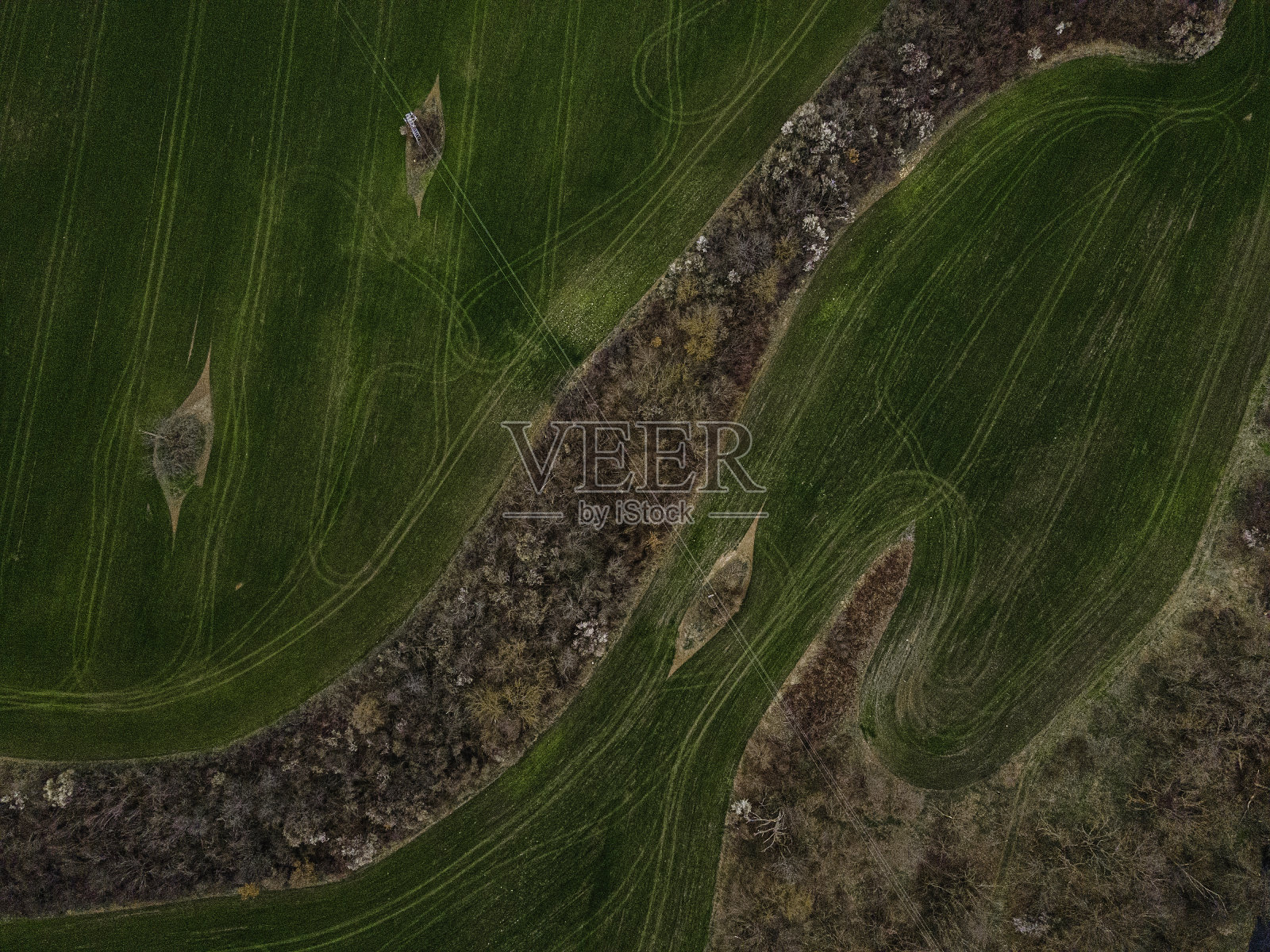 春天绿色的农田鸟瞰图。照片摄影图片