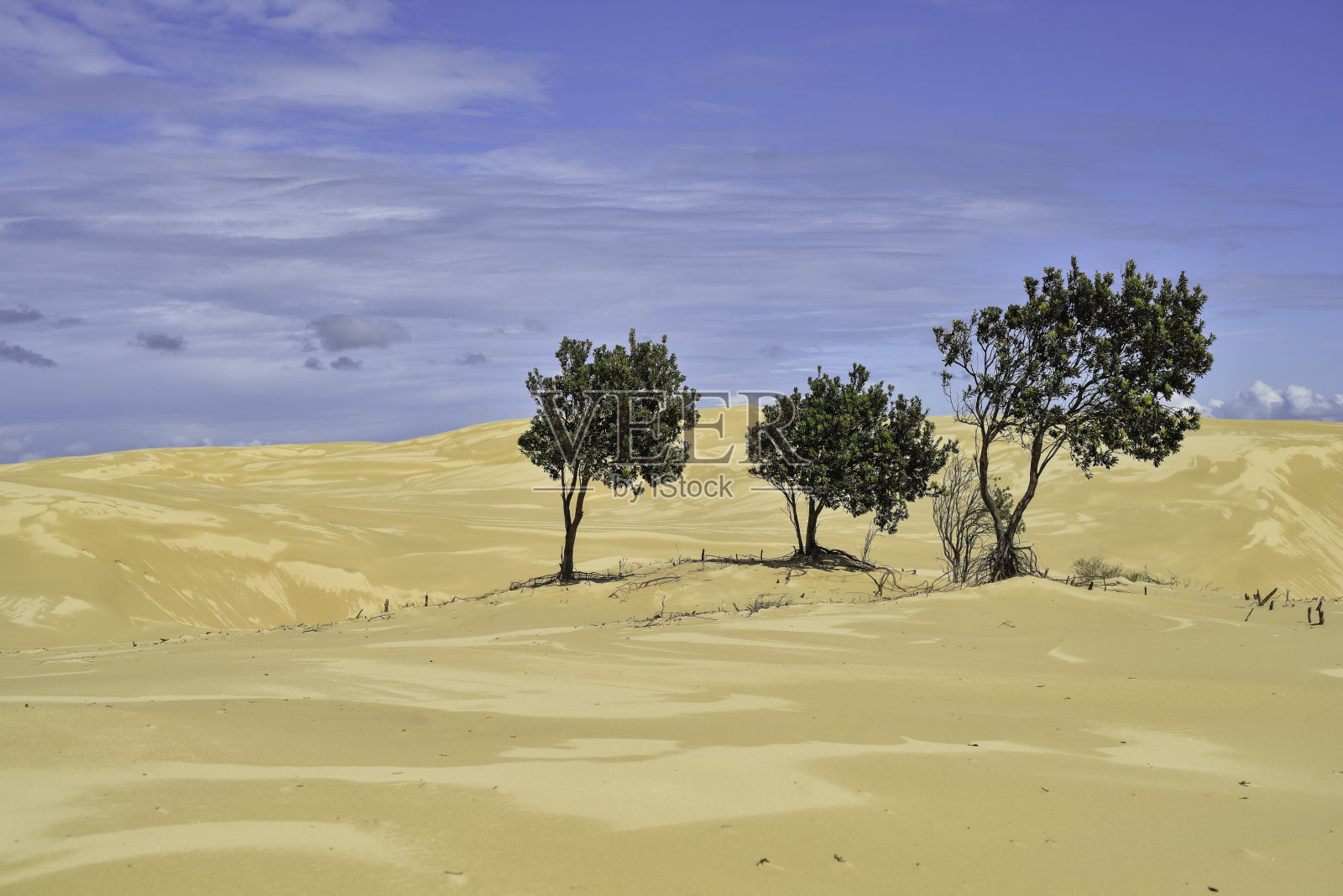 徒步穿过沙丘到锡城照片摄影图片
