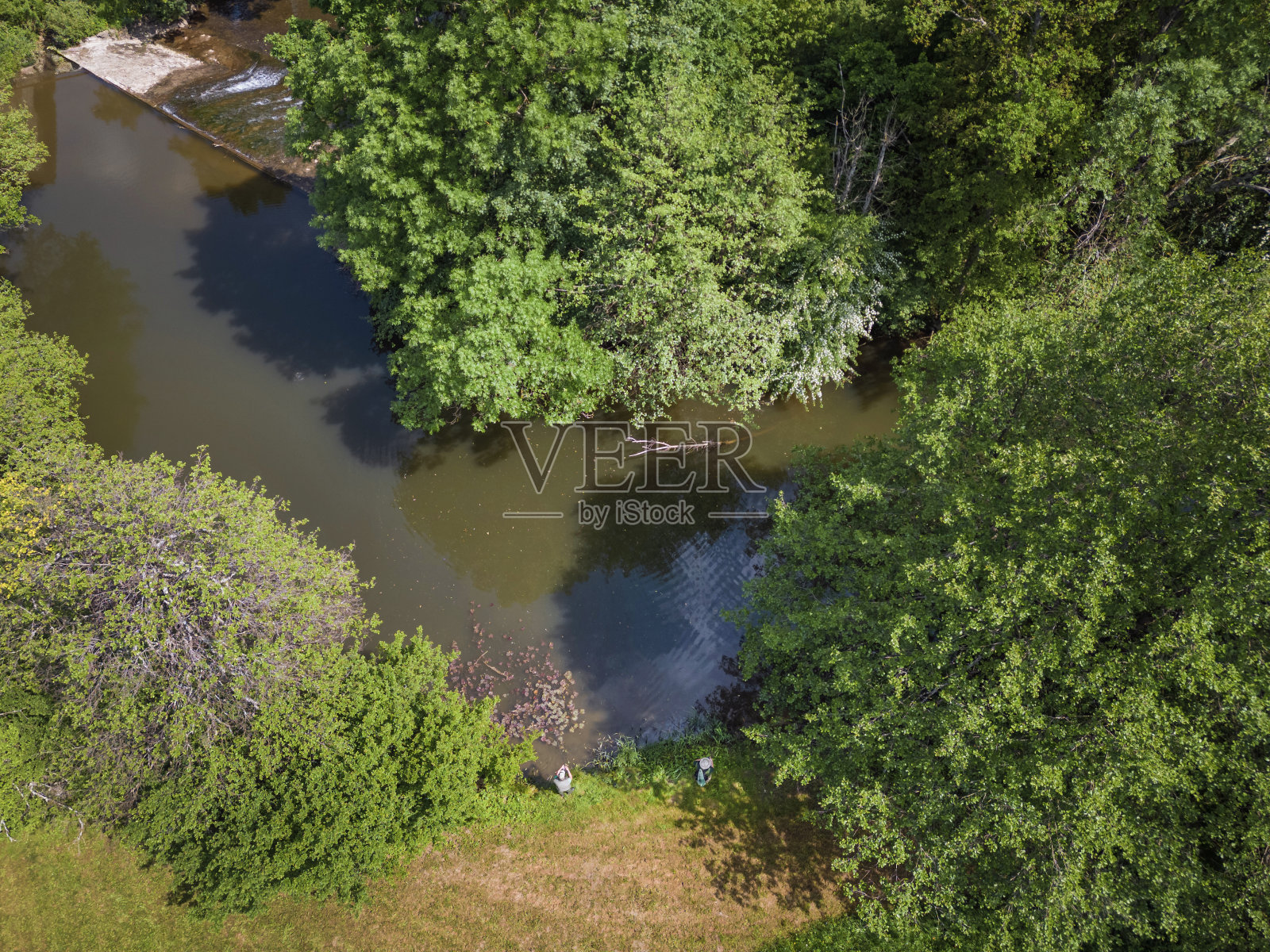渔民在河边垂钓，被夏日的大自然环抱，空中翱翔照片摄影图片