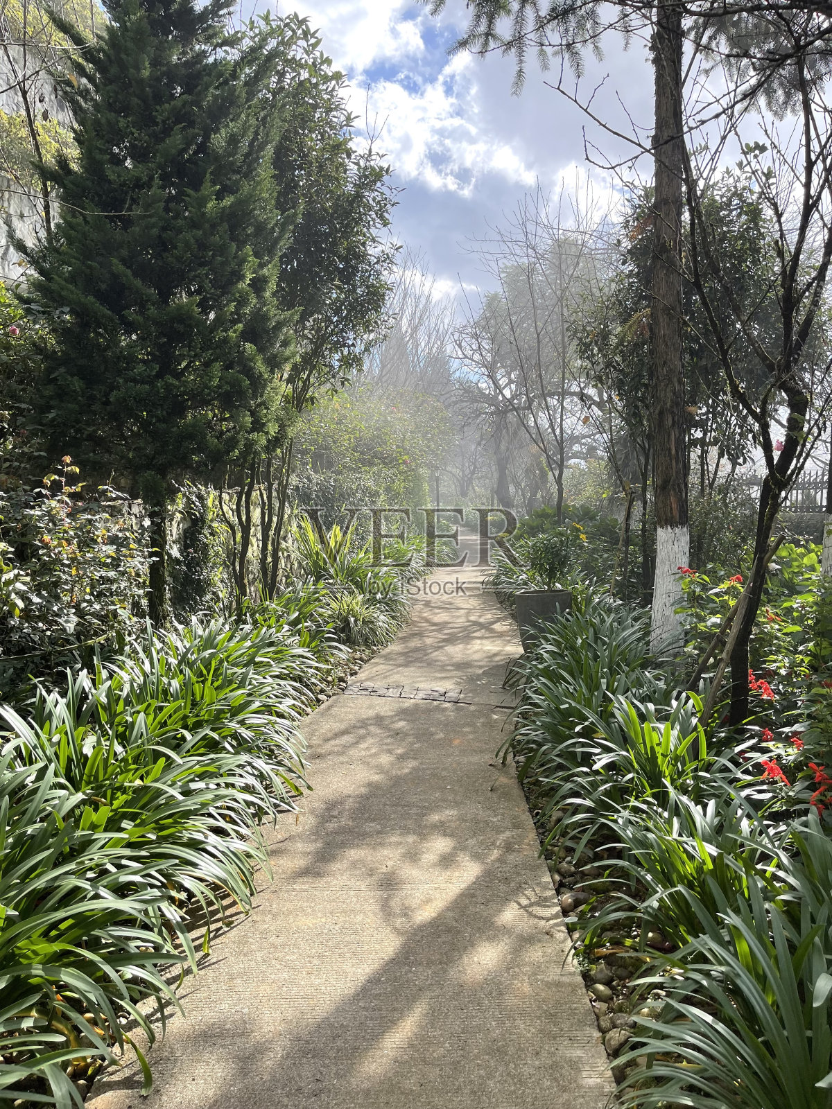 室外花园水泥走道照片摄影图片