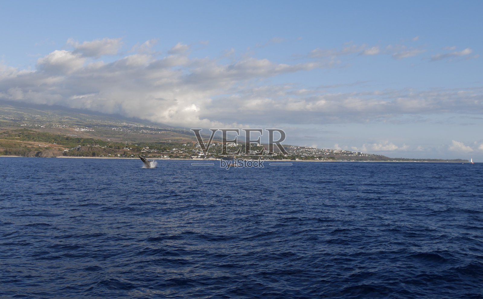 留尼汪岛:座头鲸在印度洋破浪照片摄影图片