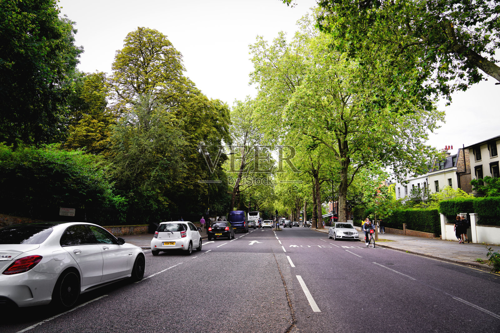 荷兰公园大道,大树,高街,大道,A402路的一部分,肯辛顿和切尔西皇家自治市,W11伦敦,英格兰,英国,大不列颠,欧洲照片摄影图片