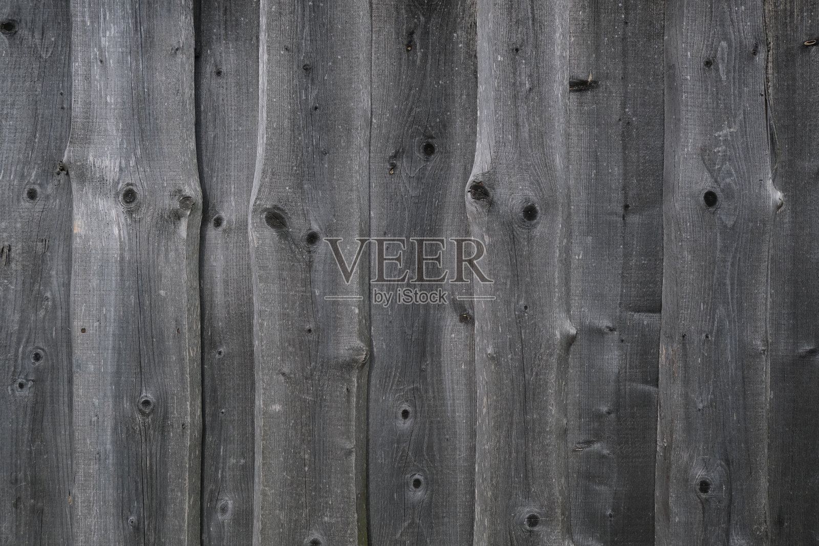 老树的纹理。照片摄影图片