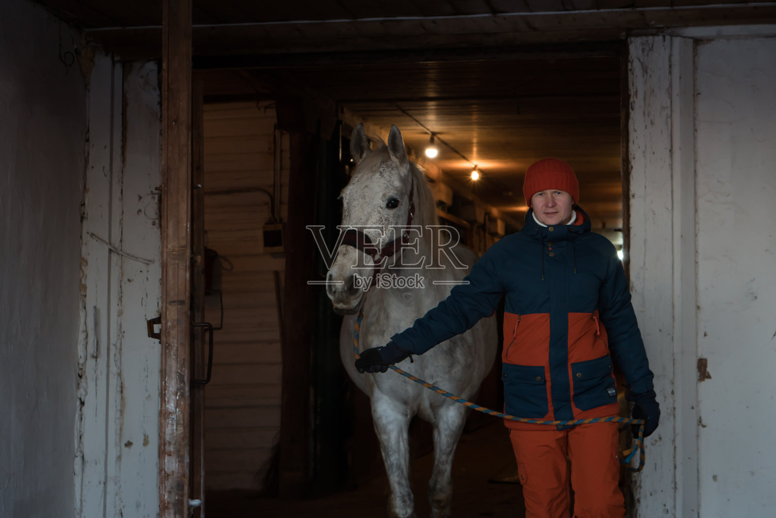 冬天牧场上的马主人照片摄影图片