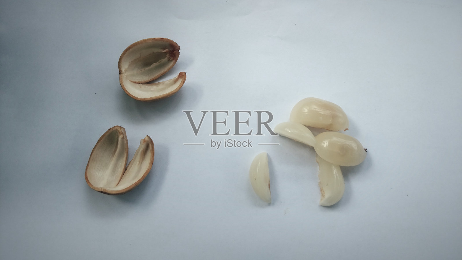 白色背景上的龙舌兰果照片摄影图片