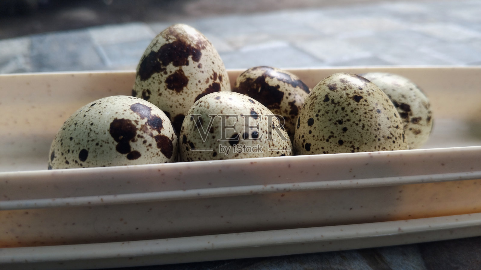 奶油色容器里的鹌鹑蛋照片摄影图片