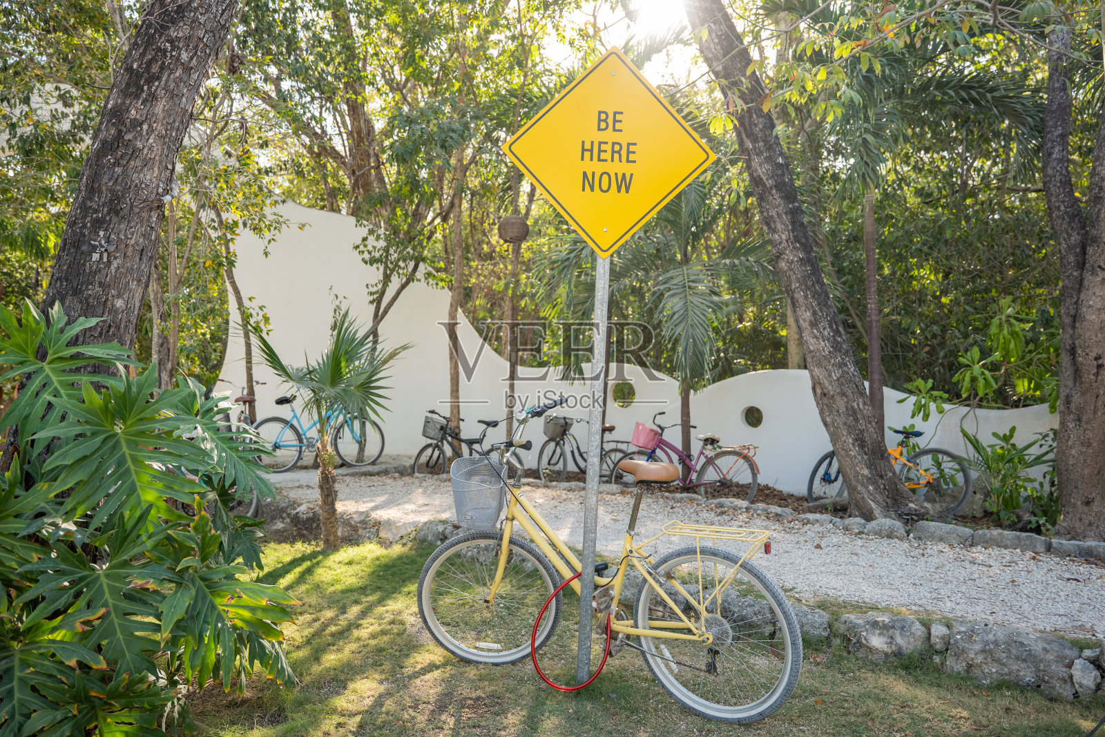 拥抱当下照片摄影图片