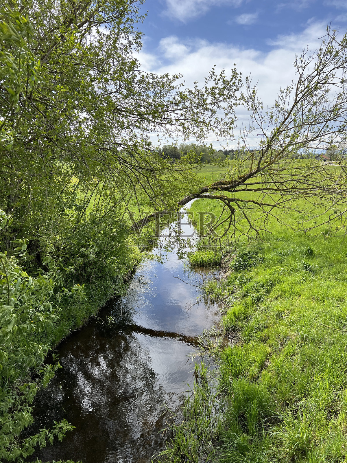 巴赫照片摄影图片