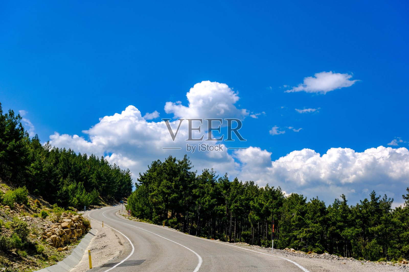 林地乡村柏油路景观照片摄影图片