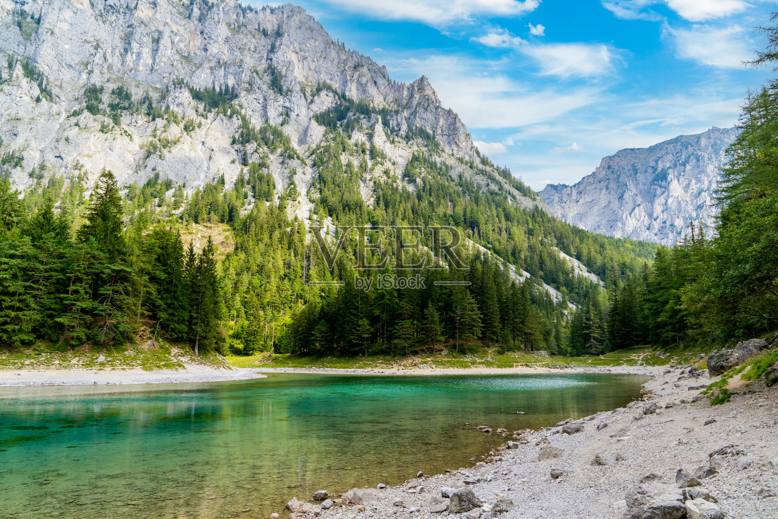 在崎岖的山峰和茂密的松林中，清澈的“gr<s:1> ner See”(绿湖)。照片摄影图片
