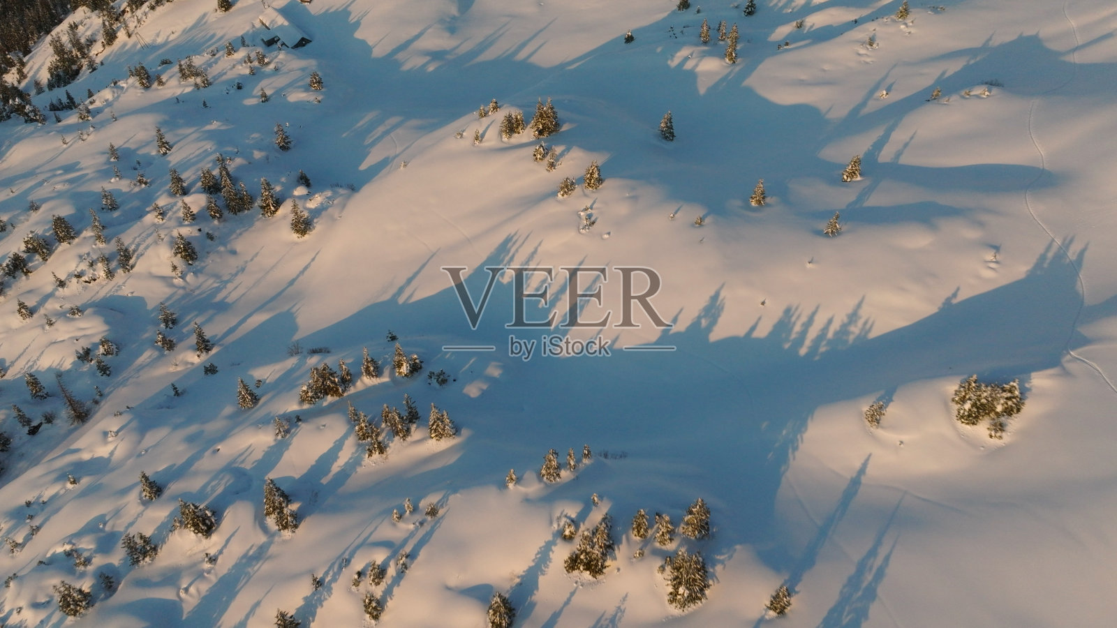 鸟瞰白雪覆盖的森林照片摄影图片