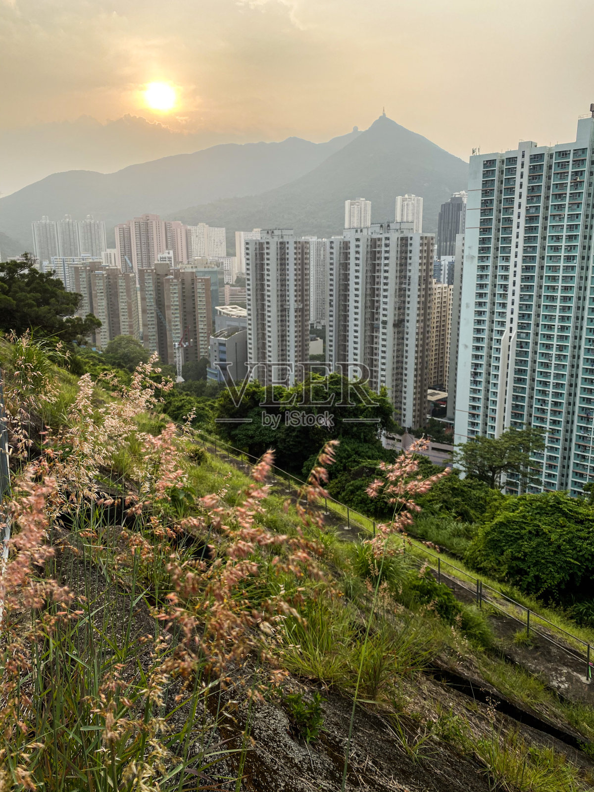 香港自然美景中，城市丛林的夕阳照片摄影图片