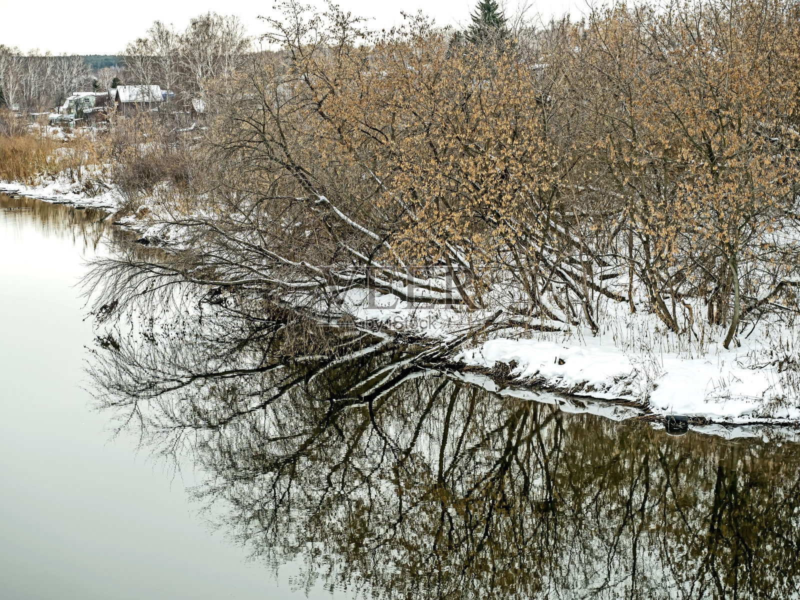 冬天的乡村，河岸上倾斜倒下的树木照片摄影图片