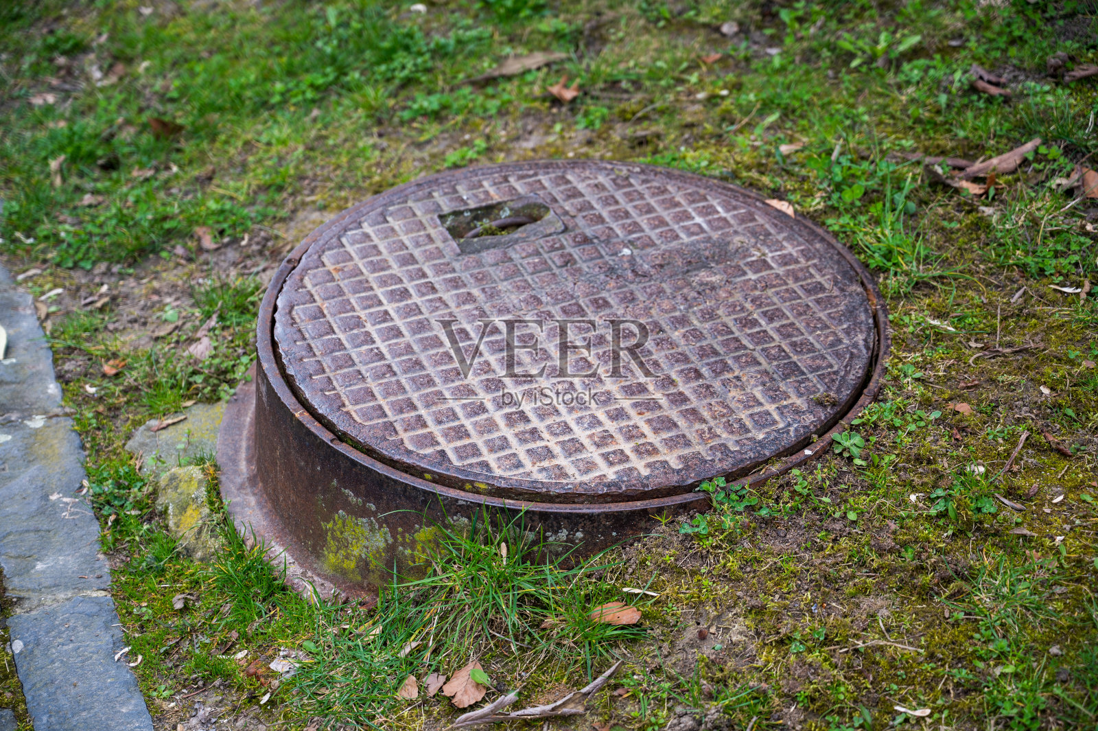 草丛中的棕色金属下水道盖。照片摄影图片