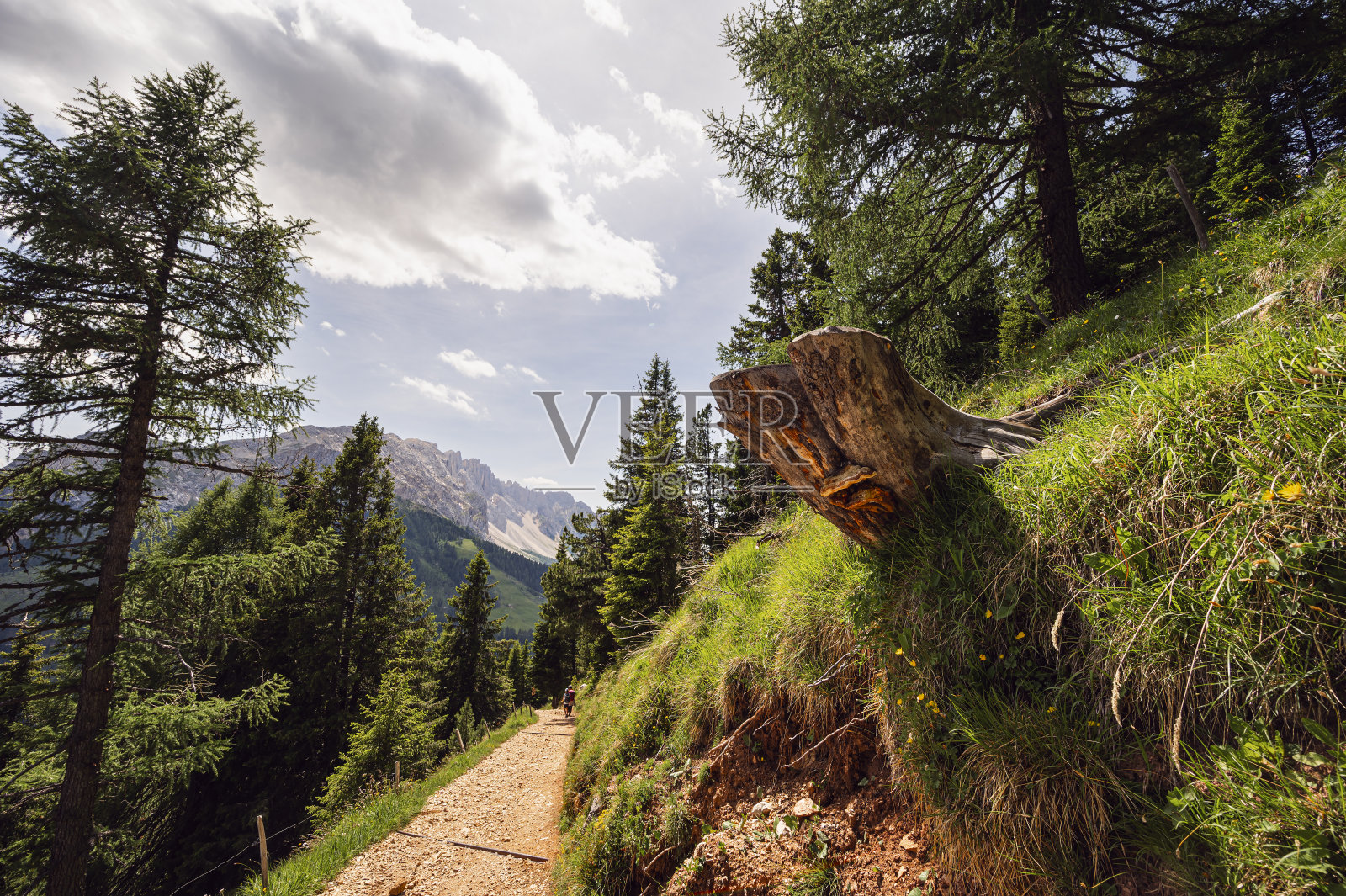 意大利法萨谷白云石山脉内的山地景观照片摄影图片