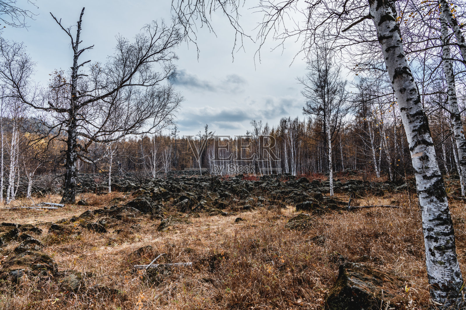 中国内蒙古呼伦贝尔阿尔山秋季自然风光照片摄影图片