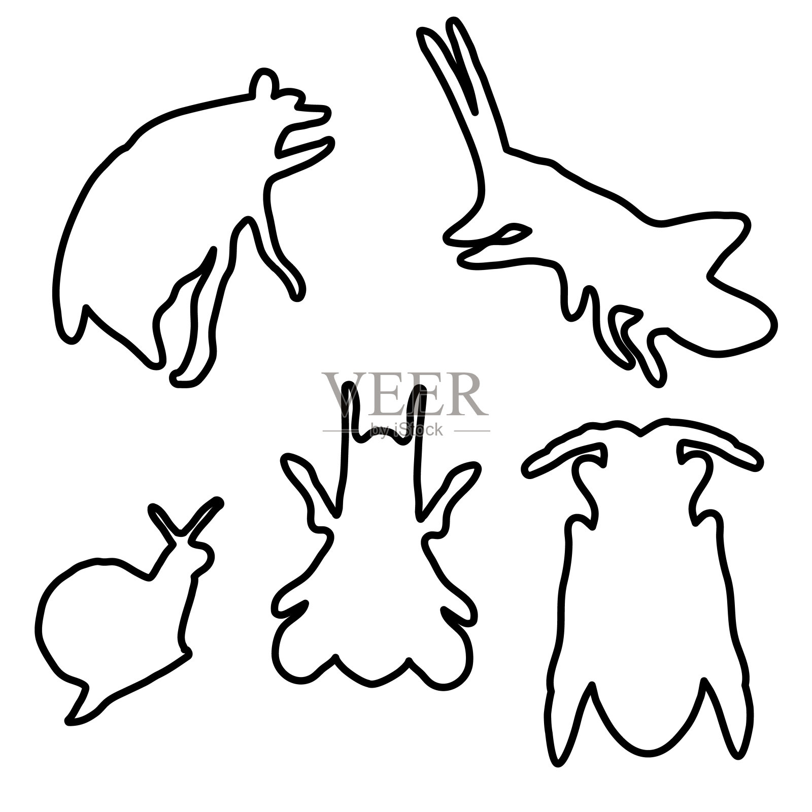 insects_color插画图片素材