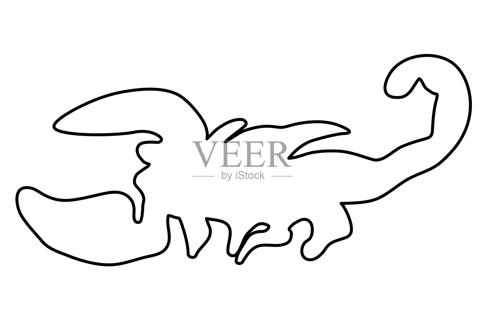 insects_color插画图片素材