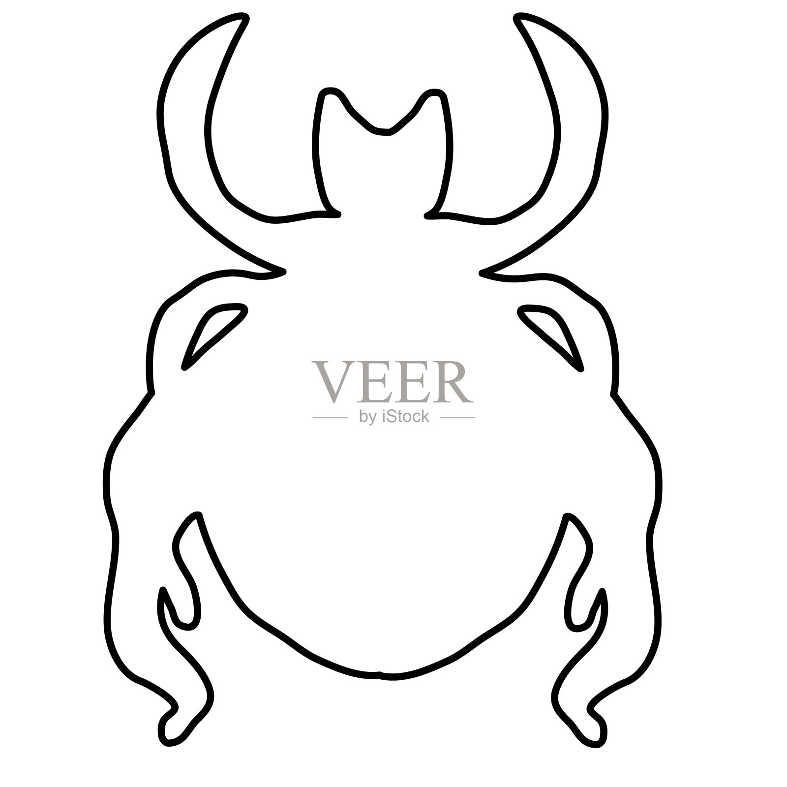 insects_color插画图片素材