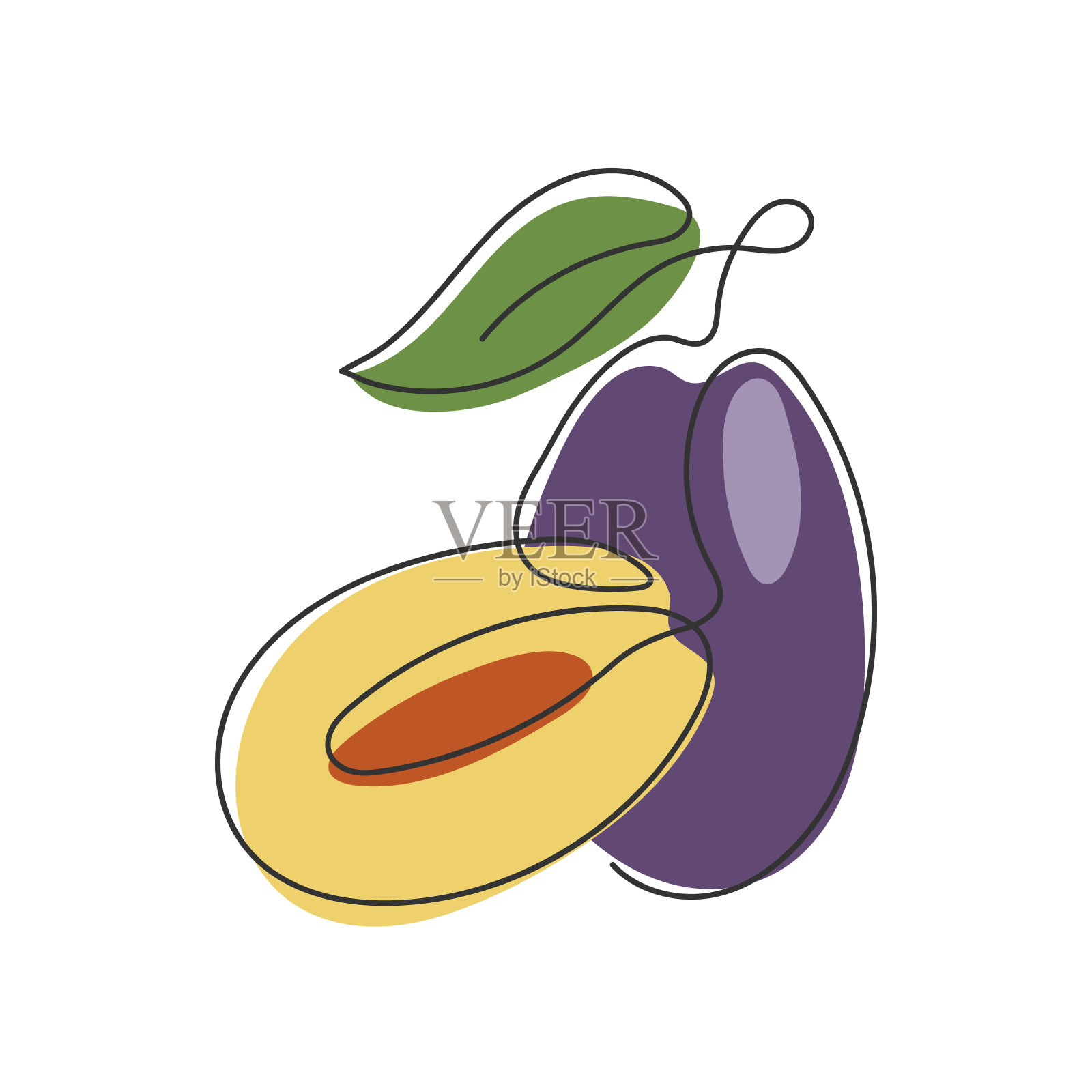 摘要涂鸦李子整体和半孤立在白色插画图片素材