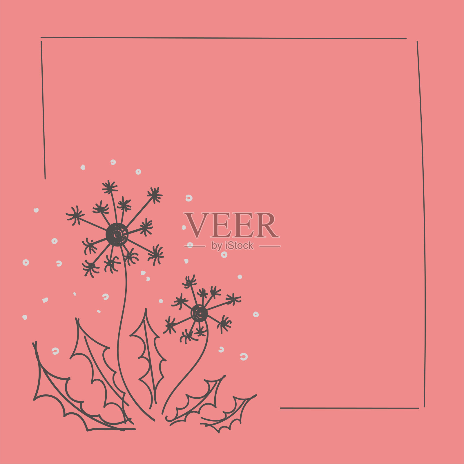 框架与灰色蒲公英插画图片素材