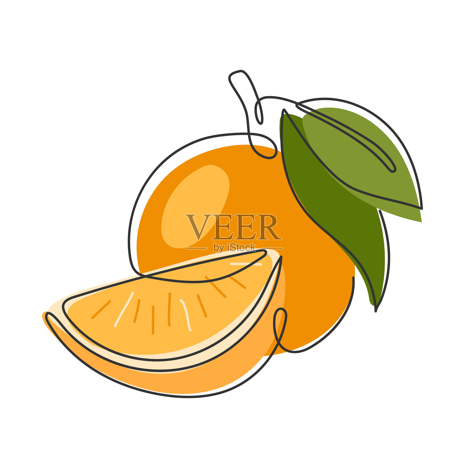 连续的线条绘制抽象的整个橘子和切片插画图片素材