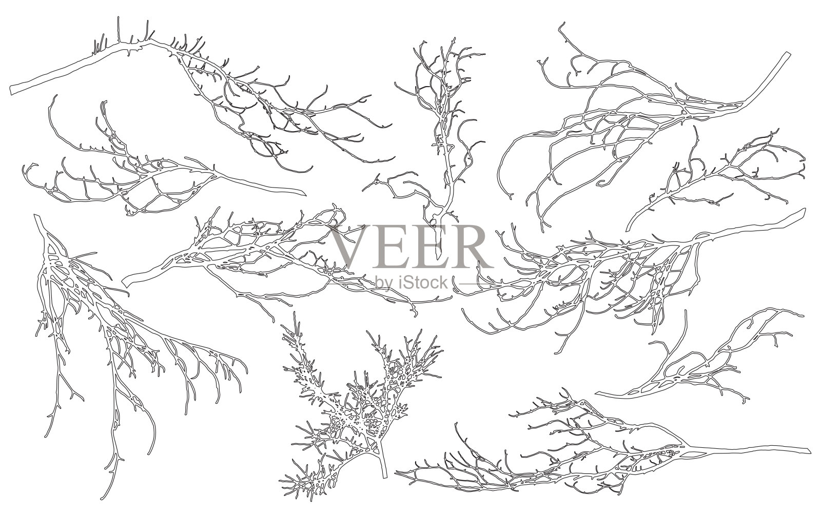 用于建筑和景观设计的落叶树木的一组轮廓裸露的树枝。矢量图插画图片素材