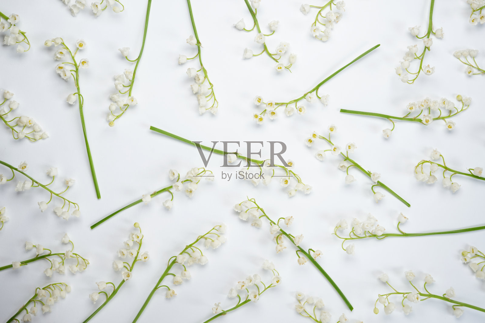 无缝图案的山谷百合(Convallaria majalis)，其他名称:五月钟，五月百合，圣母的眼泪，和玛丽的眼泪在一个白色的背景。俯视图平面布局。横幅。照片摄影图片