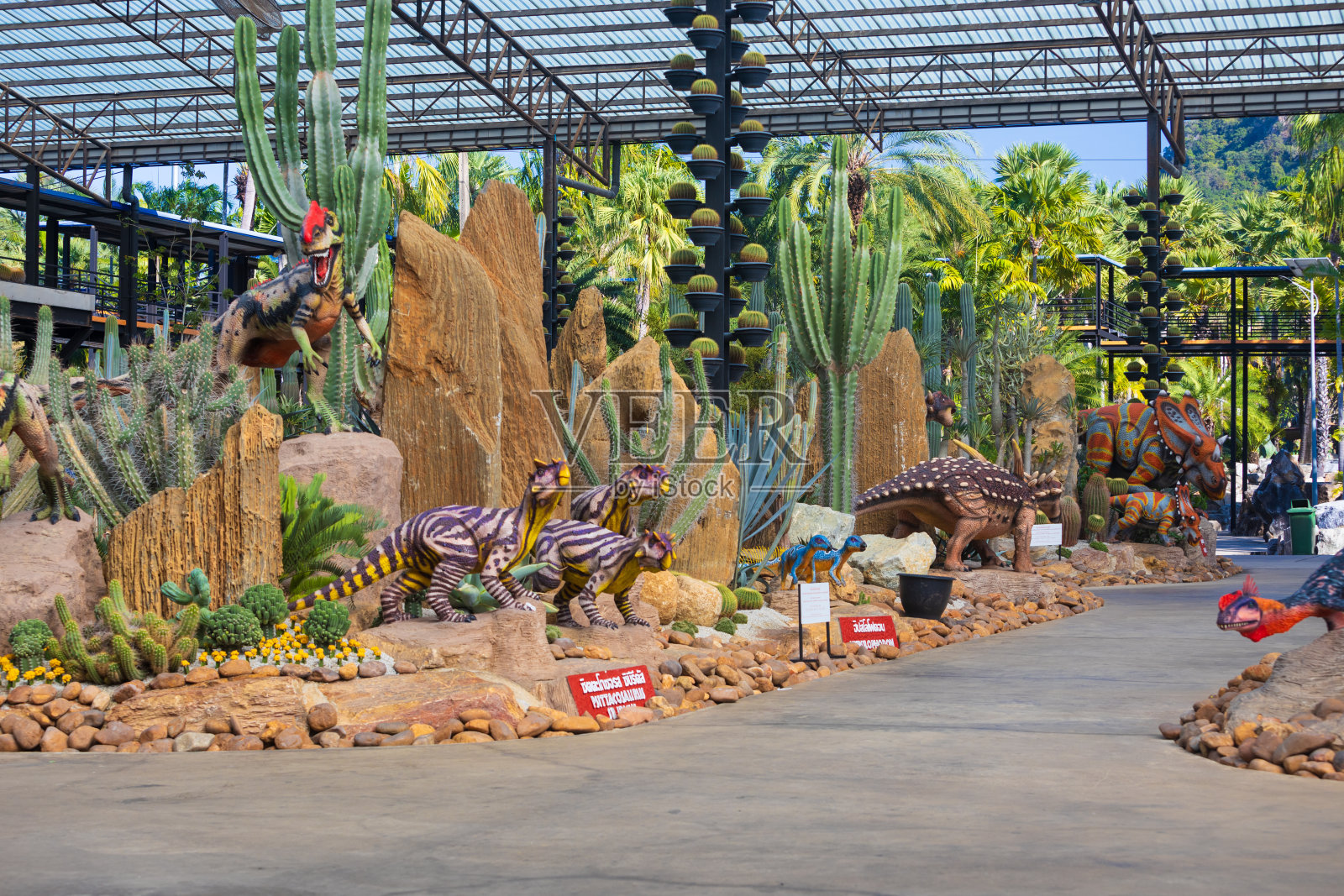 泰国Nong Nooch仙人掌园的仙人掌中的恐龙照片摄影图片