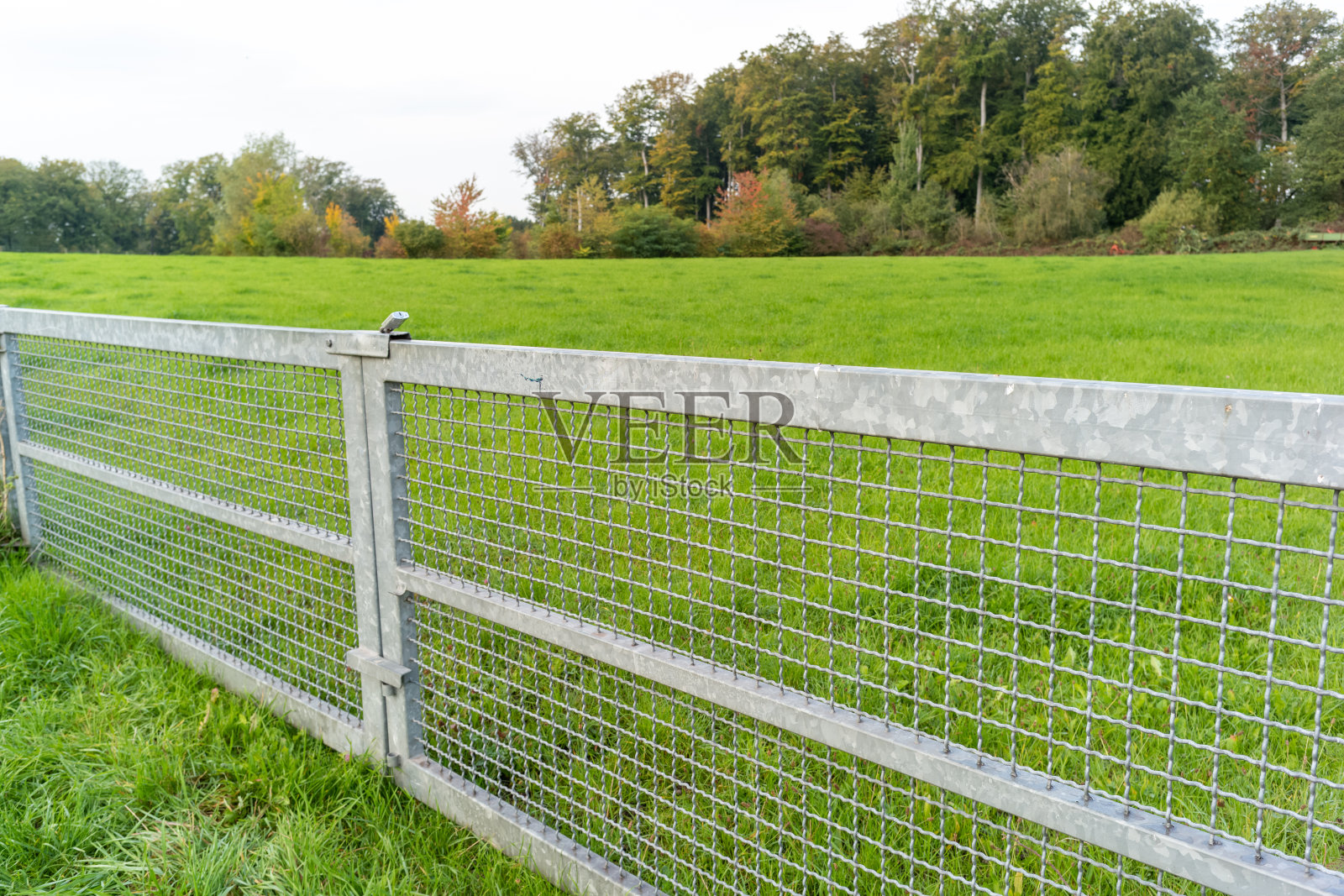 景观中的栅栏照片摄影图片