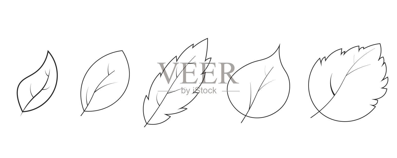 束集的轮廓说明不同的叶子，黑线孤立的白色插画图片素材