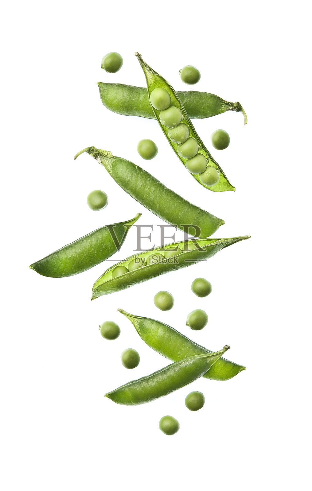 落青豆荚照片摄影图片